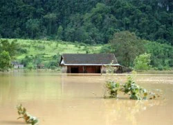 Một người chết, hàng nghìn ngôi nhà ngập trong lũ