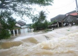 Tan hoang trong bão, ngập chìm trong lũ