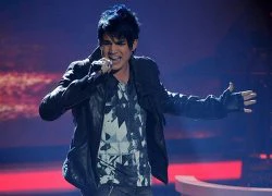 Single đầu tay của Adam Lambert là đồ "second-hand" từ Pink?