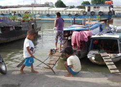 Những đứa trẻ không biết &#8220;mùi&#8221; trung thu