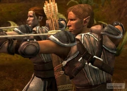 Có thể chơi Dragon Age: Origins với bốn phong cách khác biệt