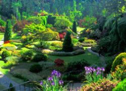 Butchart Gardens - "vườn địa đàng" của Canada