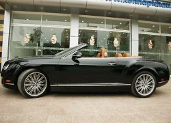 Thêm một siêu xe Bentley GTC Speed về Việt Nam