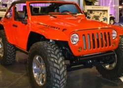 Jeep Lower Forty concept thi leo núi với lừa