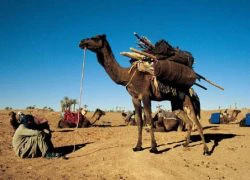 Bí ẩn bộ lạc bị chôn vùi giữa sa mạc Sahara