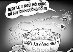 Bữa ăn rẻ rúng