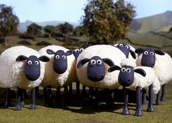 Shaun The Sheep, đằng sau những phép màu