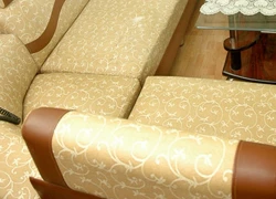 Ghế sofa - ổ côn trùng nơi phòng khách