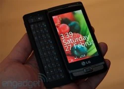 &#8216;Dế&#8217; LG chạy Windows Phone 7 sắp ra mắt