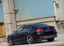 Senner Tuning độ S5 Sportback thành bản 'Grand Prix'