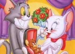 Video funny TOM & JERRY: Vật vã tình trường