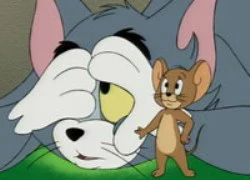 Video funny TOM & JERRY: Tom gặp nạn