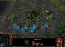 StarCraft II đã chính thức quay trở lại