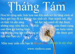 Tháng sinh, hoa và bạn