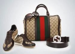 Túi xách, phụ kiện thu đông của Gucci