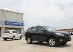 Hyundai Thành Công giới thiệu Santa Fe 5 chỗ