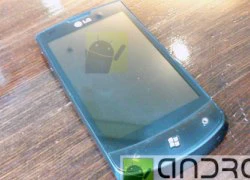 Dế Windows Phone 7 với vi xử lý 'khủng' của LG lộ diện