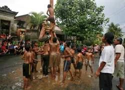 Lễ hội trèo cây bôi mỡ ở Indonesia