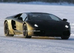 Lamborghini Jota thể hiện