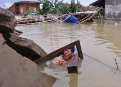 Nước mênh mông, nhà tan hoang!