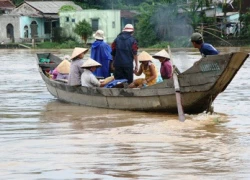 Nước dâng chóng mặt, Quảng Bình xin chi viện trực thăng cứu dân