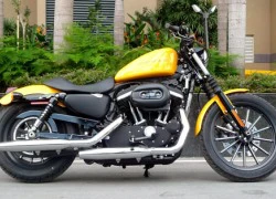 Harley Davidson Sportster 883 phiên bản 2011 ở Sài Gòn