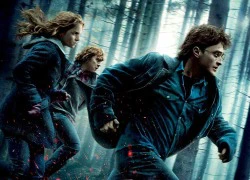 Cuộc phiêu lưu cuối cùng "Harry Potter" đã tới Việt Nam