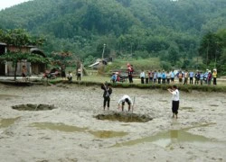 Hoang mang sau vụ "hố địa ngục" hút cạn ao cá