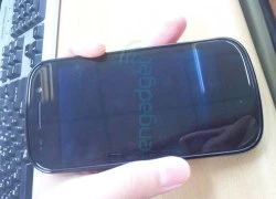 Lộ ảnh Google Nexus One thế hệ kế tiếp