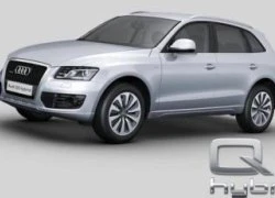 Audi Q5 Hybrid lộ diện