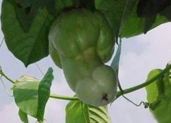 Trắc nghiệm vui: Bạn &#8220;bậy&#8221; đến cỡ nào?
