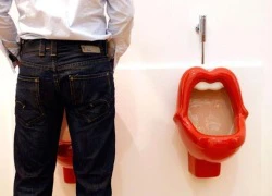 Những chiếc toilet quái dị nhất