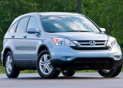 Honda triệu hồi xe Accord và CR-V 2010