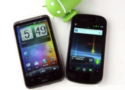 Kỳ phùng địch thủ: Google Nexus S vs. HTC Desire HD