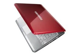 Laptop Toshiba dành riêng cho chị em