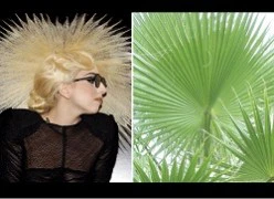 Thời trang bất hủ của Lady Gaga lấy cảm hứng từ đâu?