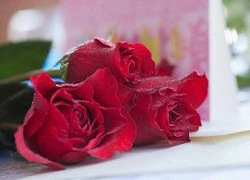 Valentine cho người chưa yêu