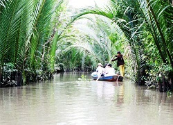 Về Bến Tre hít gió trời lồng lộng