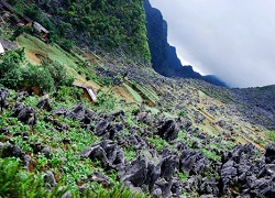 Cao nguyên Đồng Văn đẹp mê hoặc