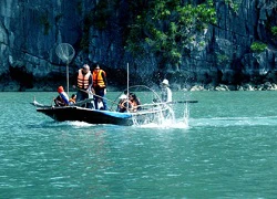 Tour du lịch 'bắt cá" trên vịnh Hạ Long