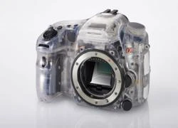 Sony sẽ chỉ ra DSLR gương trong