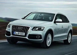 Audi Q5 Hybrid mẫu SUV siêu tiết kiệm nhiên liệu