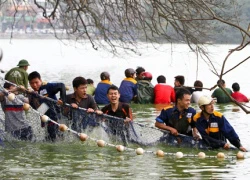 Cuộc lai dắt cụ Rùa đã bất thành