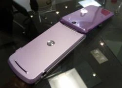 Motorola Gleam - 'dế' gập sành điệu