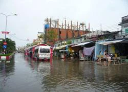 Bạc Liêu: Cơn mưa lớn &#8220;cuốn trôi&#8221; hơn 10 tỉ đồng