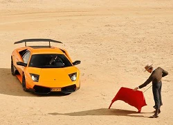 Lamborghini Murcielago 'tỏa sáng' trong trường đấu bò