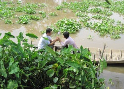 "Vùng đất không yên tĩnh" - Nông thôn Việt trên màn ảnh