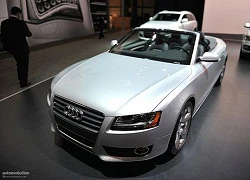 Audi A5 Cabriolet - lộng lẫy một bản mui trần