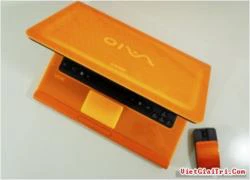 Siêu mẫu màu da cam Sony Vaio CA15