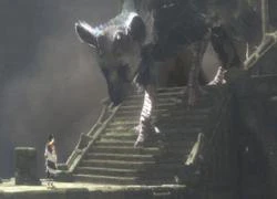 The Last Guardian và bộ sưu tập Team Ico ra mắt chậm